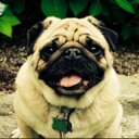 Jack Tunney - @JackTunney22 - Twitter