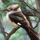 Joan Wakefield - @joanatlocky - Twitter