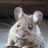 doermouse's profile image