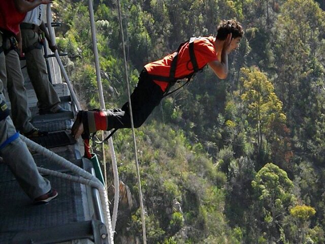 facasannez's profile picture. 