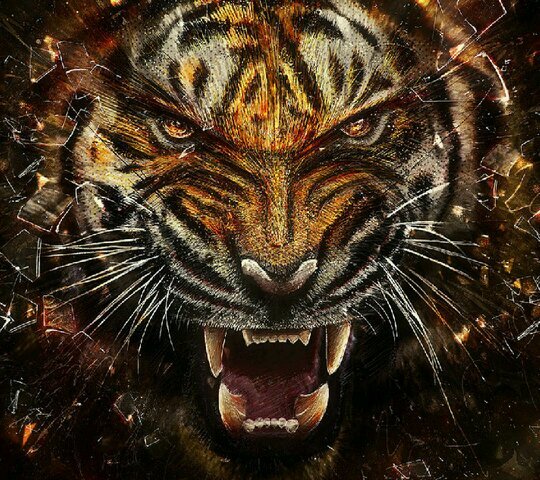 lordkikbuttus77's profile picture. 