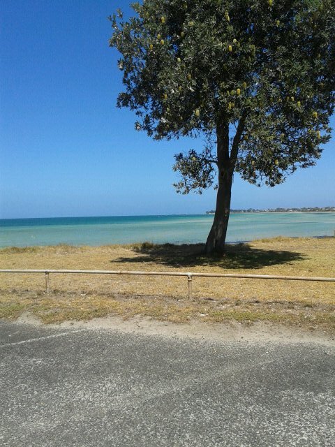 12345kaliroll's profile picture. 