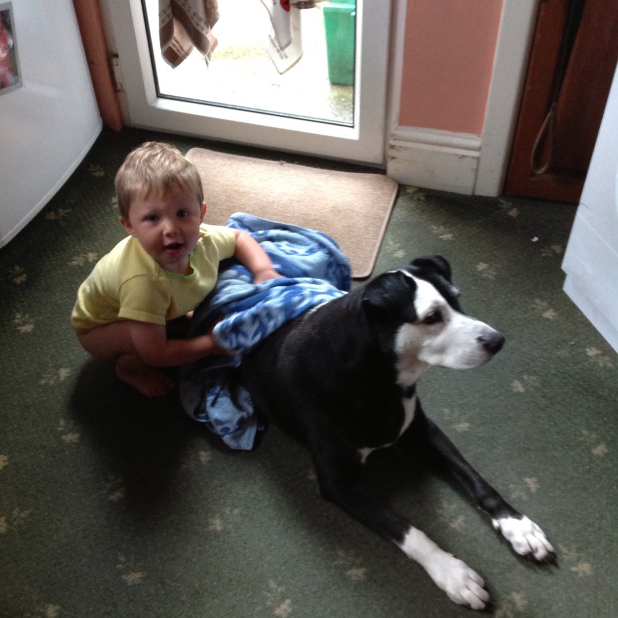 jrichards63's profile picture. 