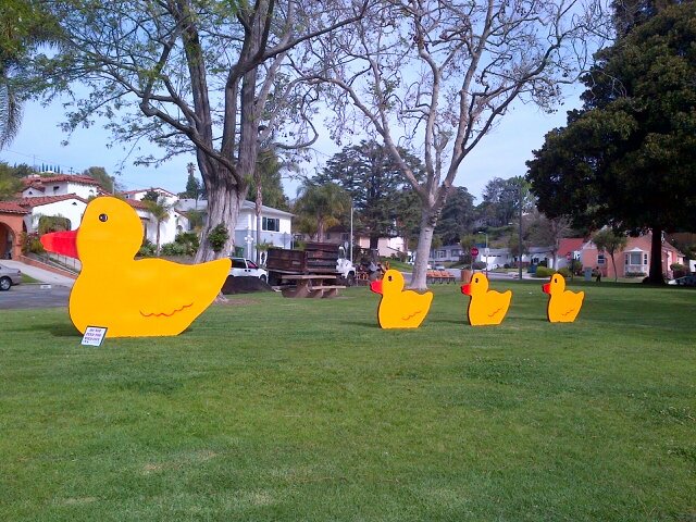 We're ducks. We enjoy doing duck things but people. Stop by and say quack! #viewparkducks