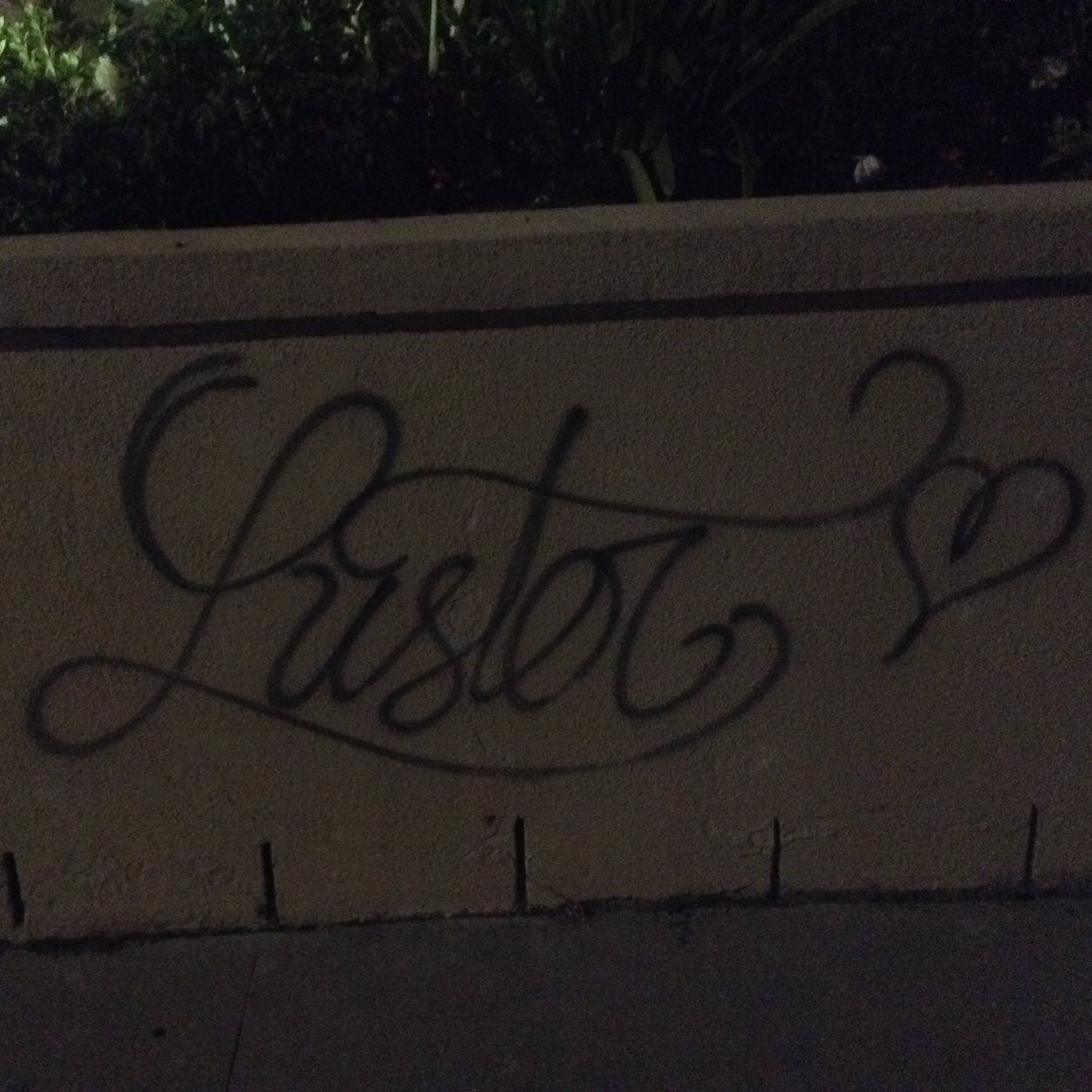 ariela_ariela1's profile picture. 