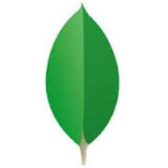 The MongoDB Users Group for Dallas/Fort Worth Texas
https://t.co/F8m33BMMaM