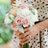 sweetfetedotcom's profile image