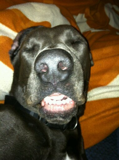 blevins_cale's profile picture. 