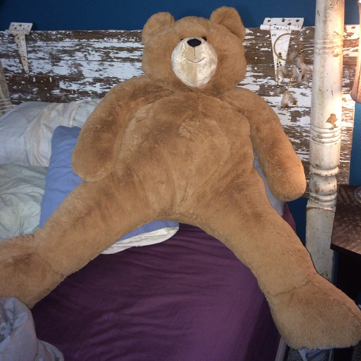 drewjohn03's profile picture. Skiing, Mountain Biking, Trail running, Hiking, Backpacking ATC