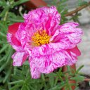 marie hyde - @kellymariehyde - Twitter