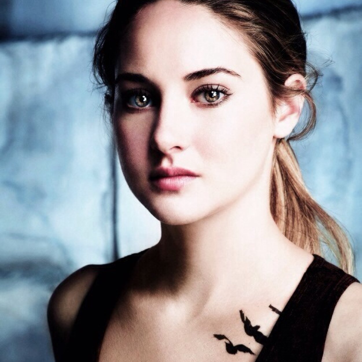 tris prior tris prior twitter tris prior tris prior twitter