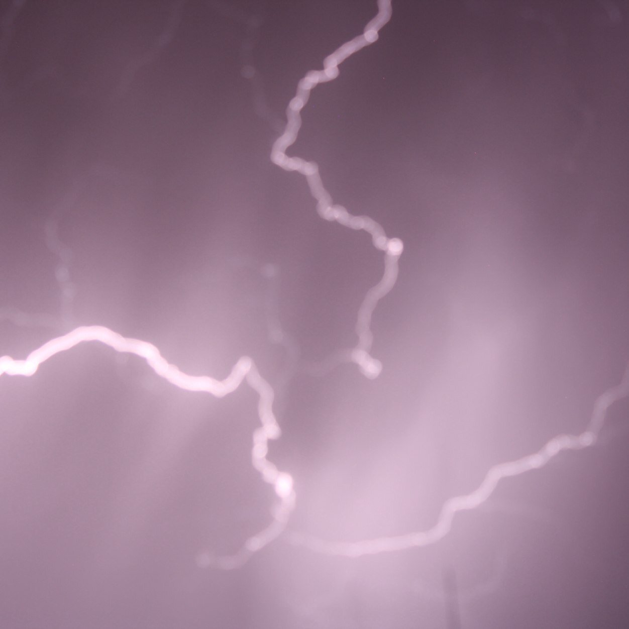 Canyonthoughts's profile picture. 