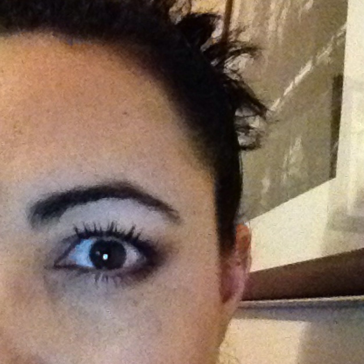 irenevm8's profile picture. 📷😸🏕🦋🏒🎢🏞🇺🇸🇳🇱🇲🇽