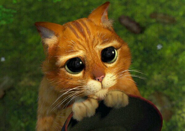 #Roleplay --The names Kay. My life is bullshit and this is my roleplay account. And..normal account. --- Can you not