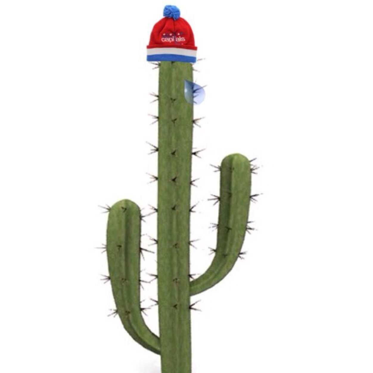 I am the greatest caps fan of all time, but I hate more than half of the team. I am smarter than the average cactus, I think. #BADASS. @ me pussy.