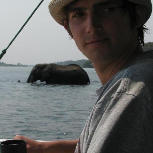 Zimbabwean Coding Monkey