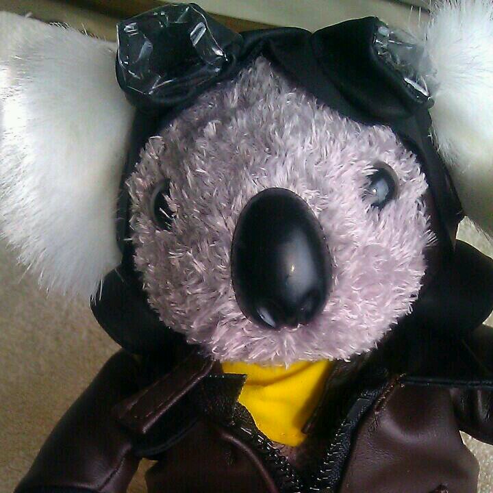 BigBrother4G's profile picture. 