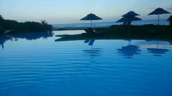 sanetoosthuize2's profile picture. 