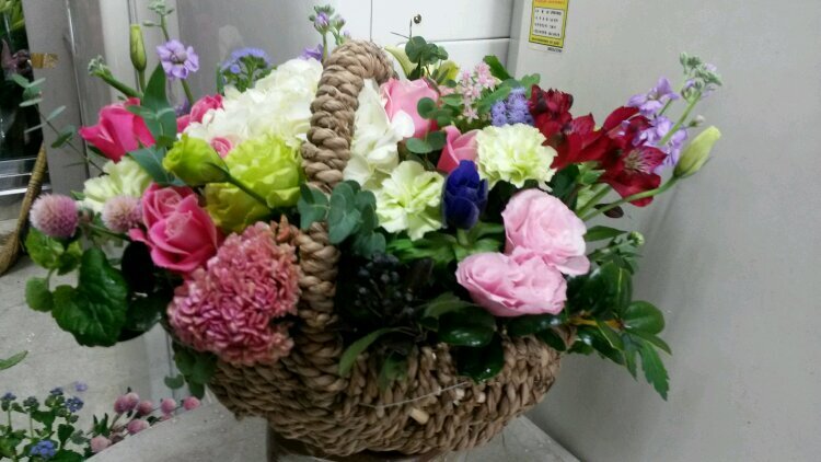 선팔  맞팔100%해드립니다^^  트친 하고싶습니다~