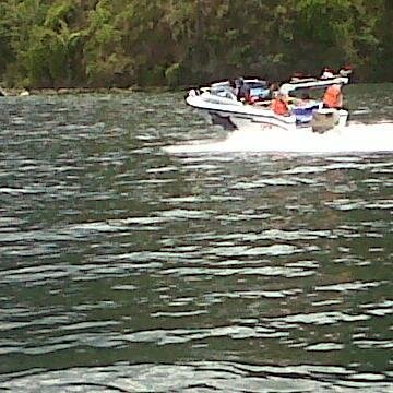 Botodah's profile picture. 