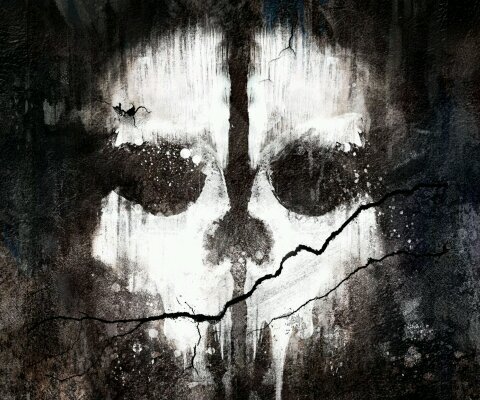 sisterrfister's profile picture. DUTCH competitive gamer on black ops 2, try to play ghosts