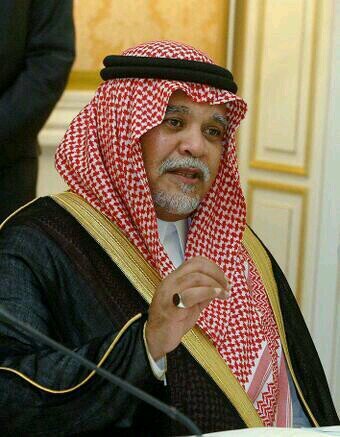 abooda95892800's profile picture. 