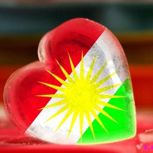 Supporters of the Kurdish struggle for statehood, peace, and safety.
Biji Rojava.