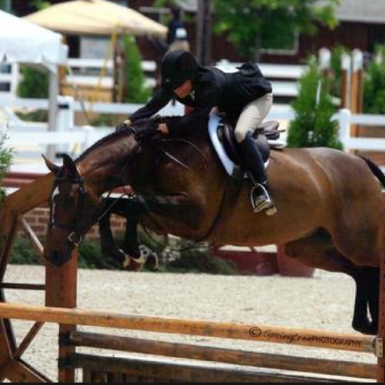 zone3riders's profile picture. Always Classy.