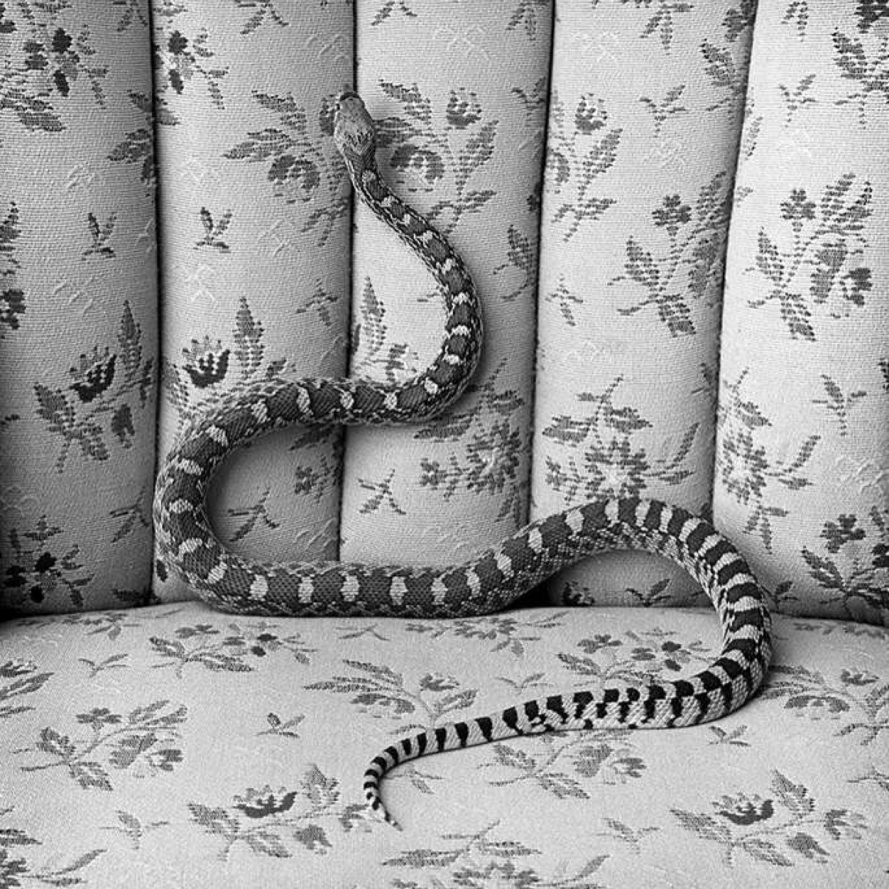 danzero's profile picture. MotoGP fanatic, @harvestclassic rally team member, looking for work