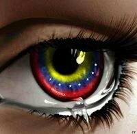 Nuevo Twitter
