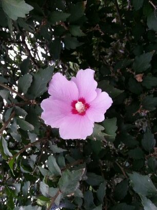 hbkim120's profile picture. 본인은 모두의 편의와 안전을 위해 법규정을 준수하여 질서가 잘 지켜 져야 하며 나보다 다른 사람을 존중하고 배려하는 자유와 민주적인 사회를 추구하는 긍정적인 생각으로 살아가는 평범한 사람입니다