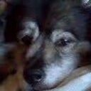 Jamie Monaghan - @keesiemum - Twitter