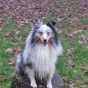 Mark Penna - @penna_mark - Twitter