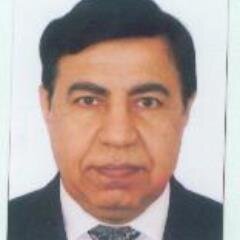 Telecom / IT Professional , Ex Army Officer, Nationalist, Vote for INDIA