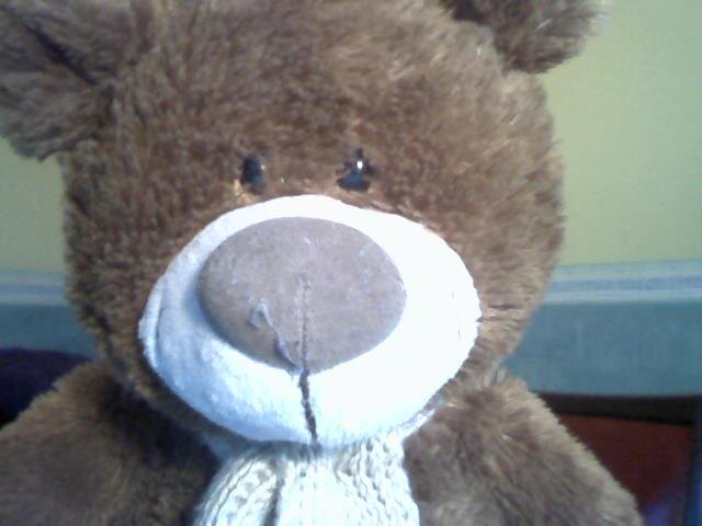 Grin and bear it