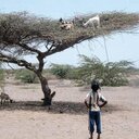 Lesowopir David Ewan - @lesowopirewan - Twitter