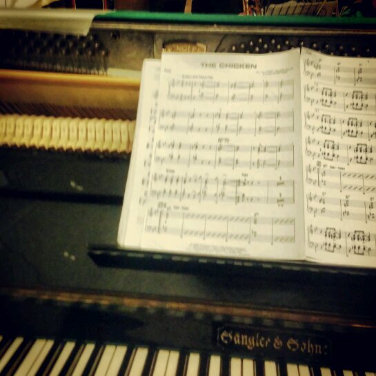 sleepruim's profile picture. jazz, chess, go, quality