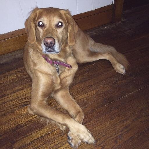 ImpactModulate's profile picture. Where everyone does not know my real name. ... oh wait.