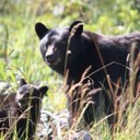 sheila vaughan - @mikerits19 - Twitter