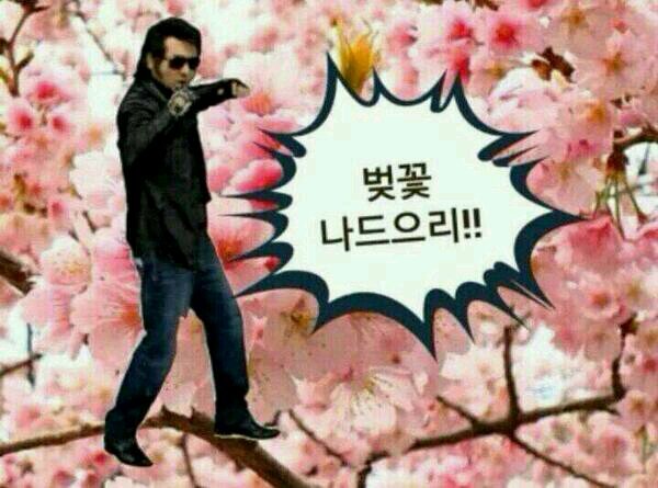 쾌남정보 이미지