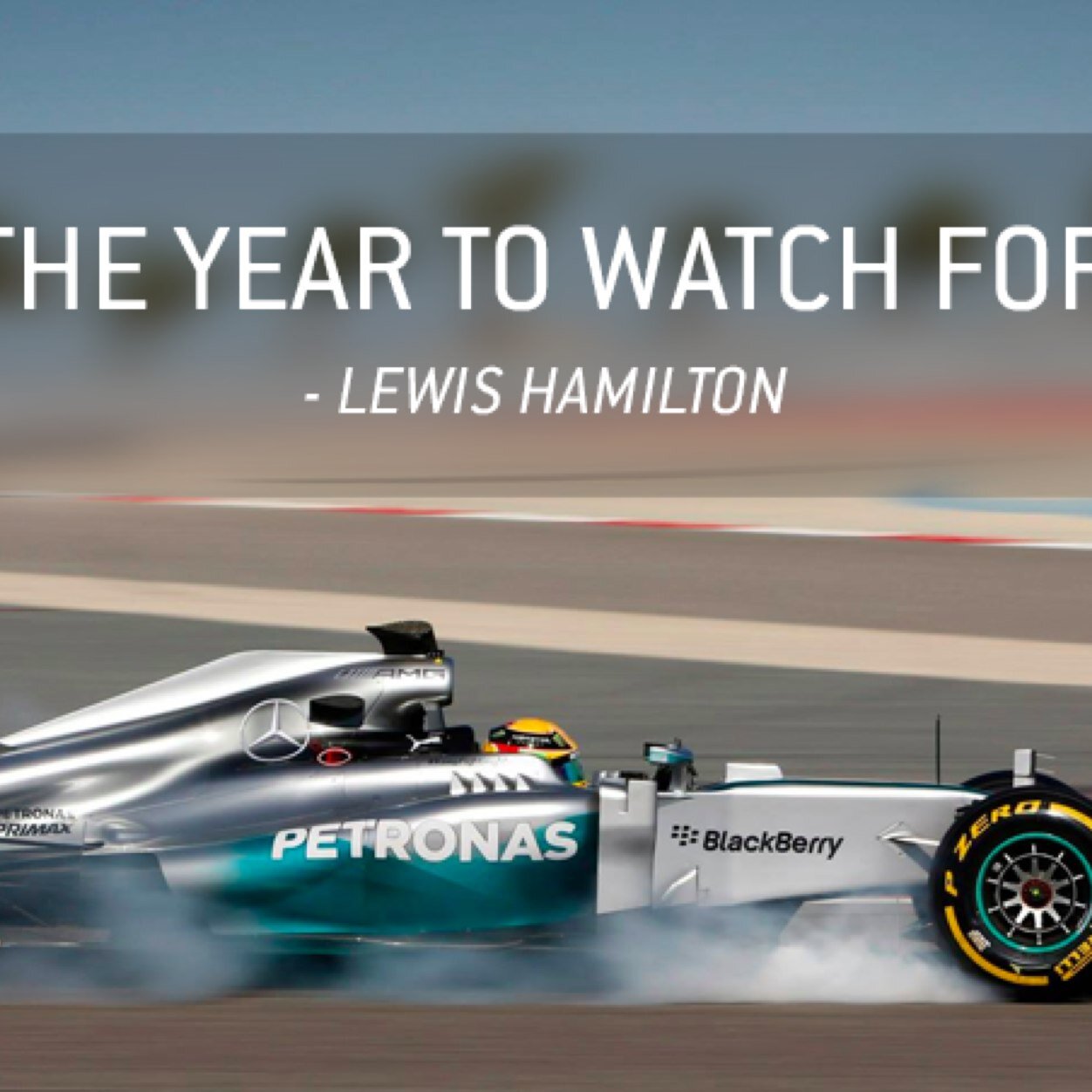 FozbeeFlop's profile picture. 