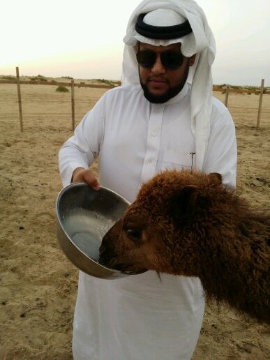 ‏‏ياهلا وياغلا  الي يتابعني واتابعه