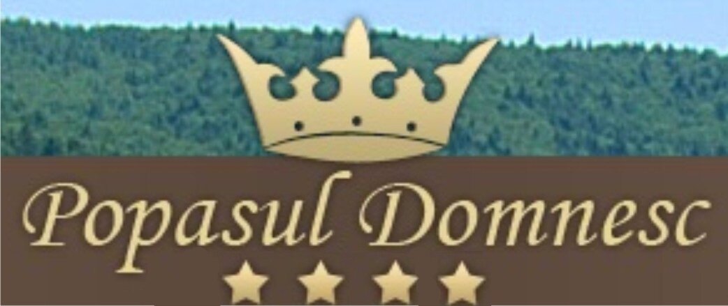 PopasulDomnesc's profile picture. Tel: 0745 527 118; popasuldomnesc@gmail.com