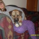 heidi estes - @hestes93 - Twitter