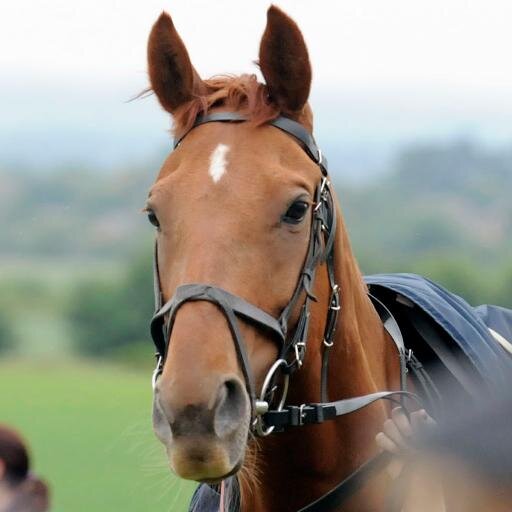Point-to-Point Hour is no longer operational. To keep up-to-speed with the latest news and views from the Pointing world, please follow @GoPointing.