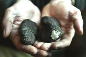The leading supplier of Truffle Aroma for making Truffle infused products, digital currency enthusiast & chef.