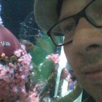 Sean Kavanagh (@seankavanaghnou) 's Twitter Profile