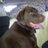 KarenQuilty's profile image