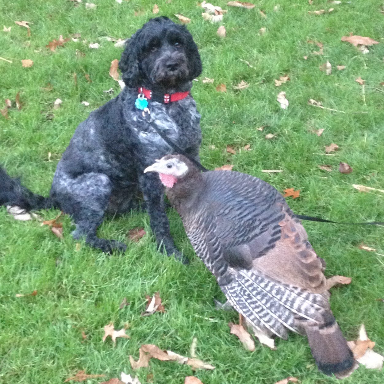 CBract's profile picture. 