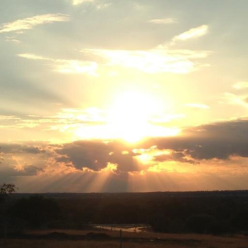 Chisem's profile picture. 